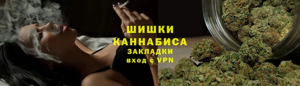 спайс Гатчина