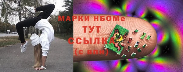 Альфа ПВП Бородино