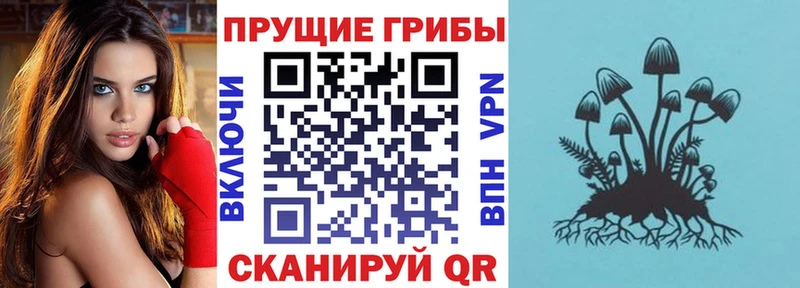 Галлюциногенные грибы ЛСД  Мглин 