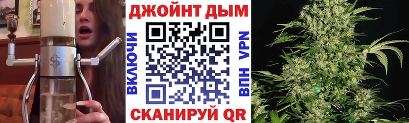 Конопля семена  где продают   darknet телеграм  Мглин 